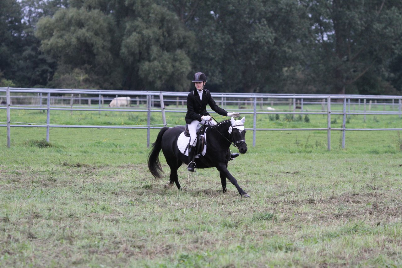 Bild 1420 - WBO-Turnier am 18.9.11